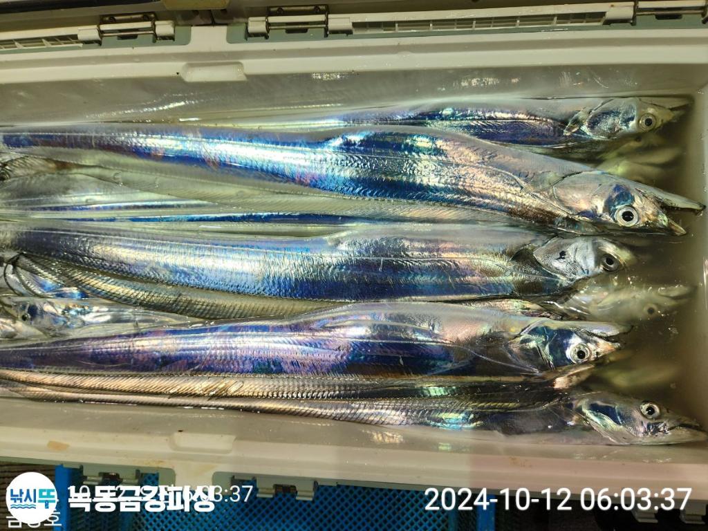 F2534225A7.jpg