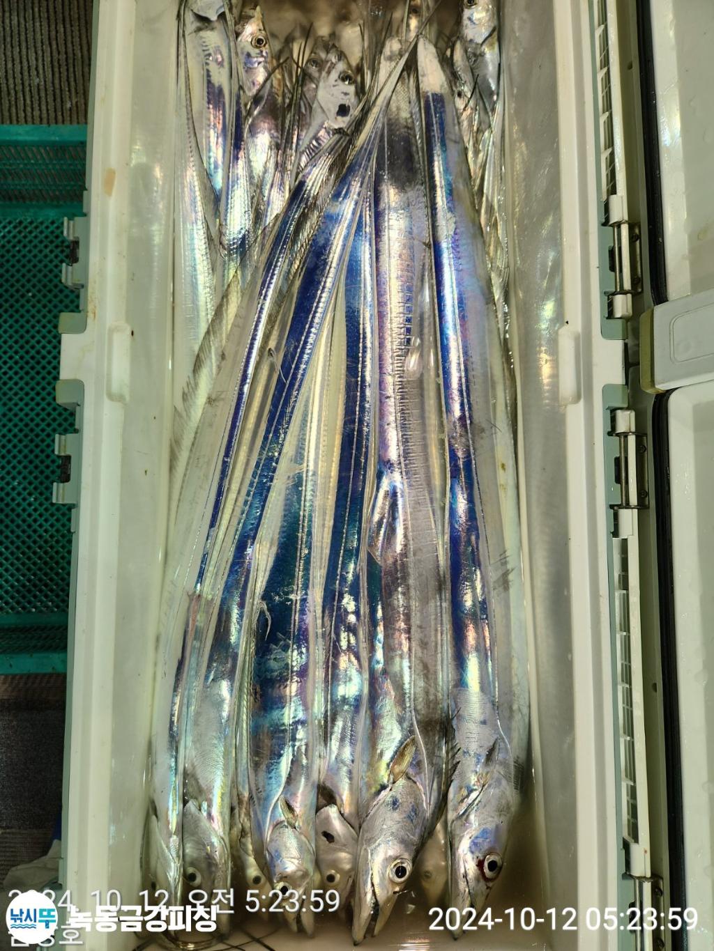 F2534236BO.jpg