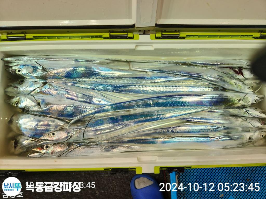 F2534237EF.jpg