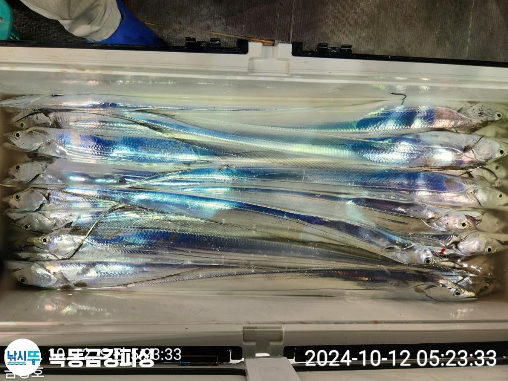 F2534238U1.jpg