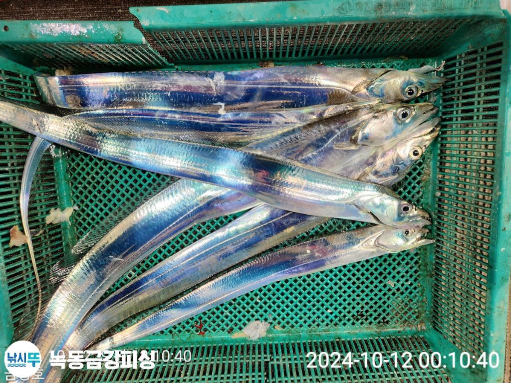 F2534246TM.jpg