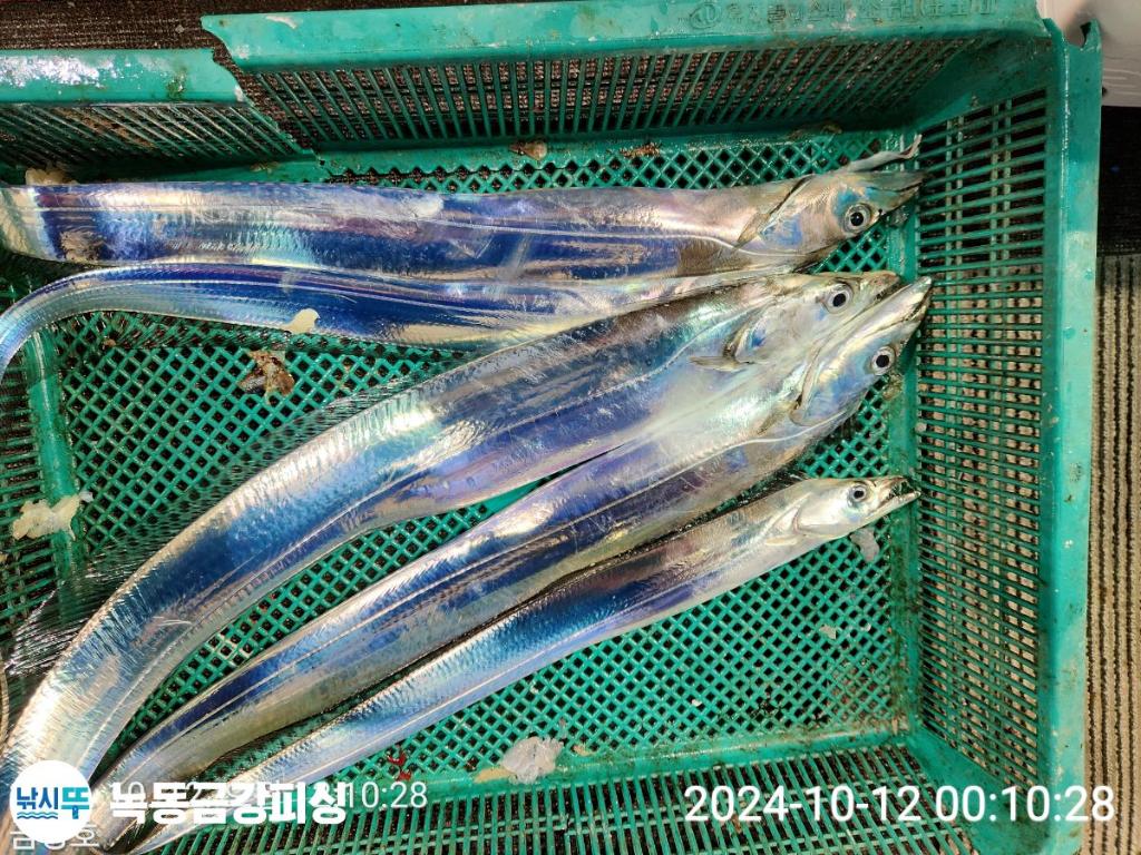 F253424774.jpg