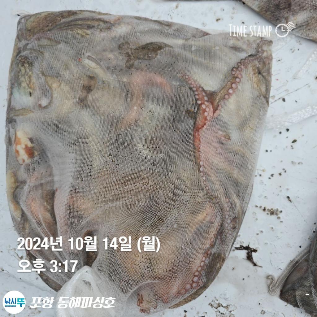 F2537758V4.jpg