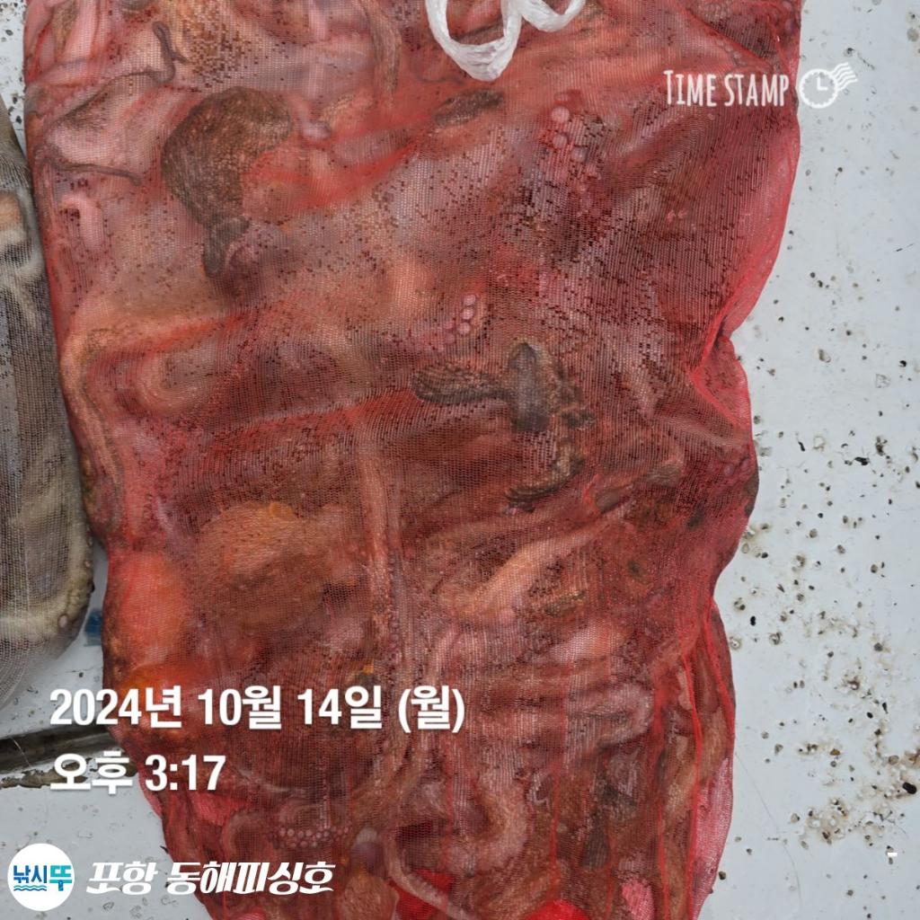 F2537765MK.jpg