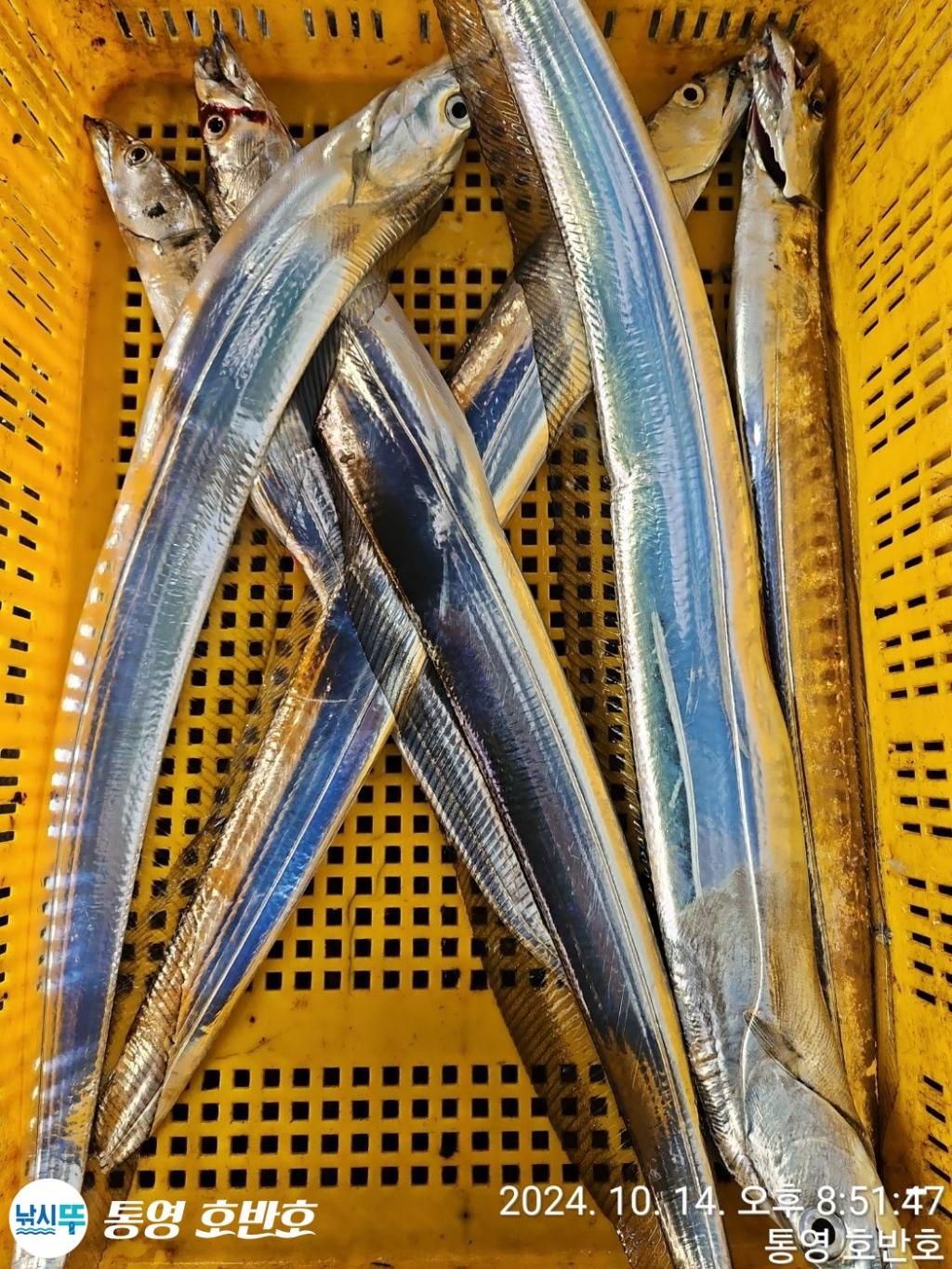F2537983WZ.jpg