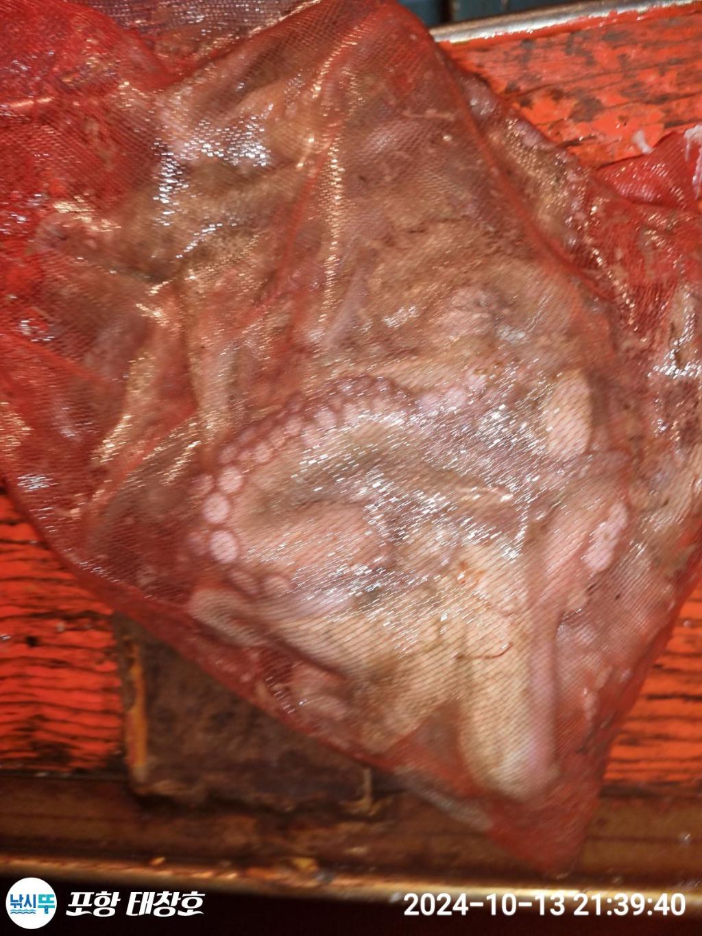 F253851063.jpg