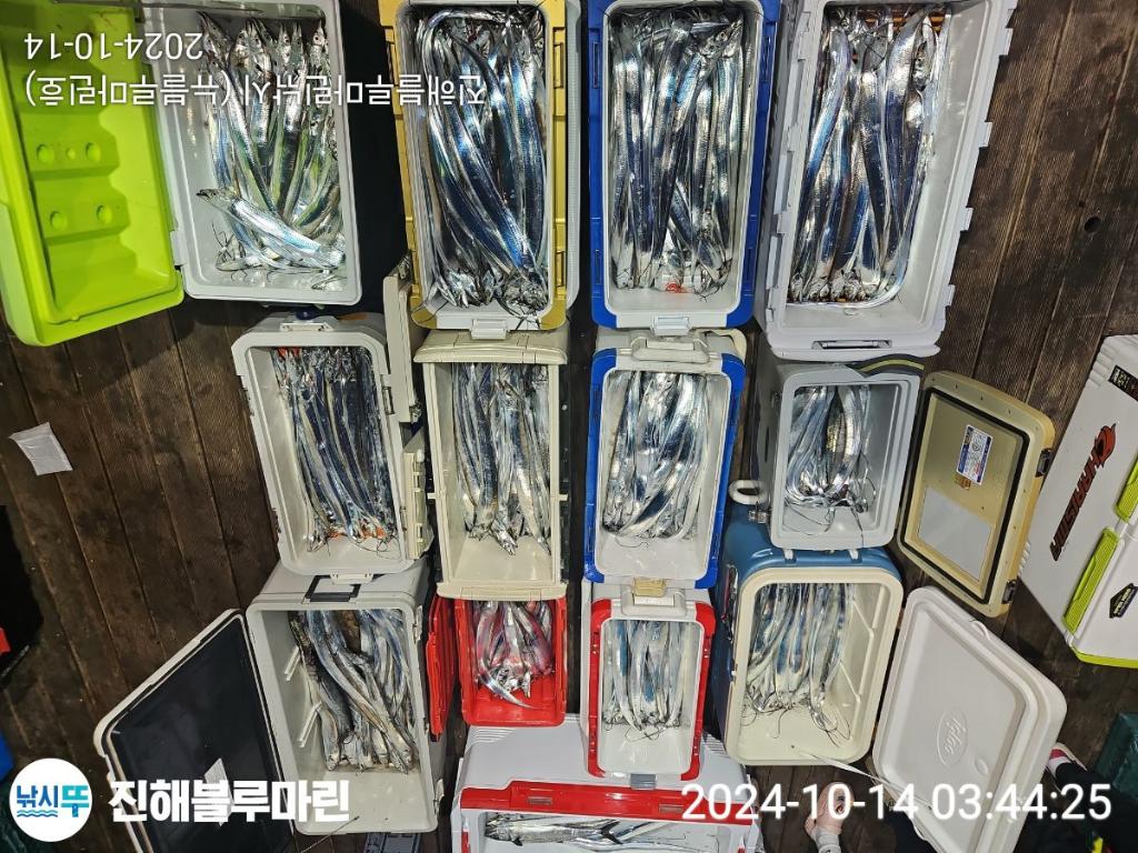 F2538560VT.jpg