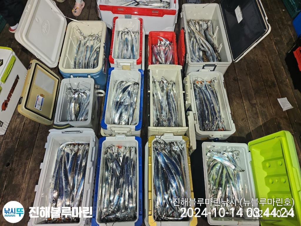 F2538561LQ.jpg