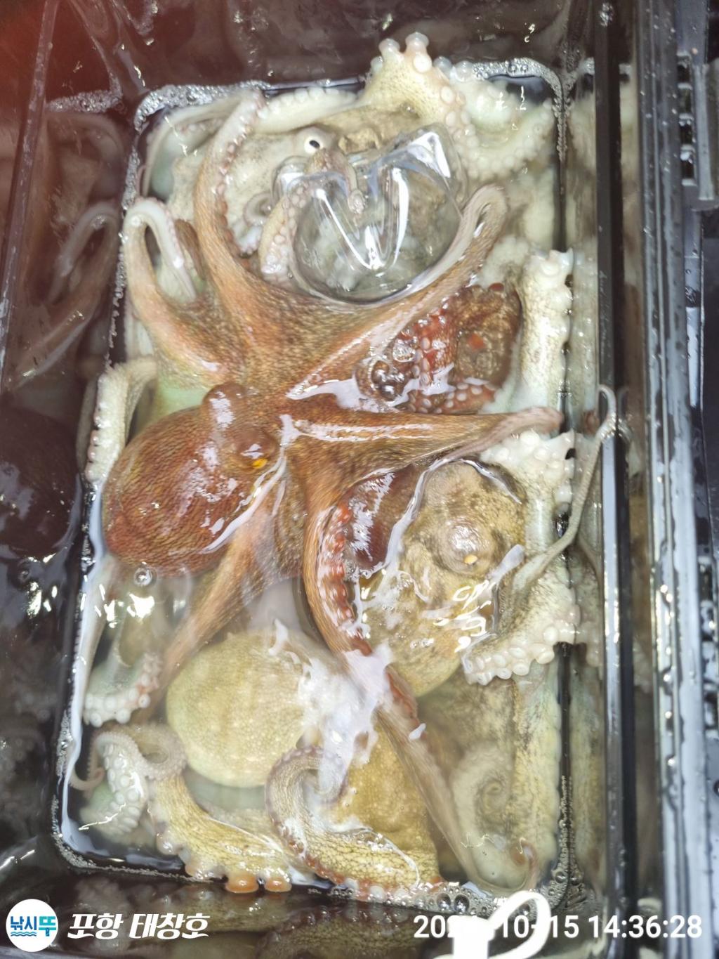 F25387135F.jpg