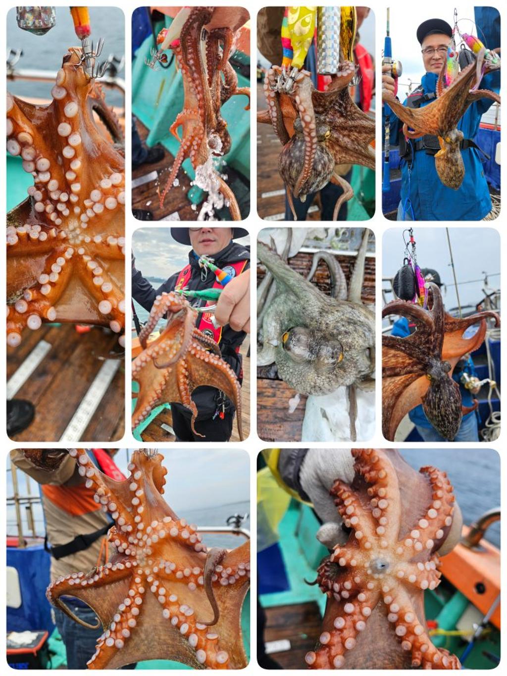 F2539779CN.jpg