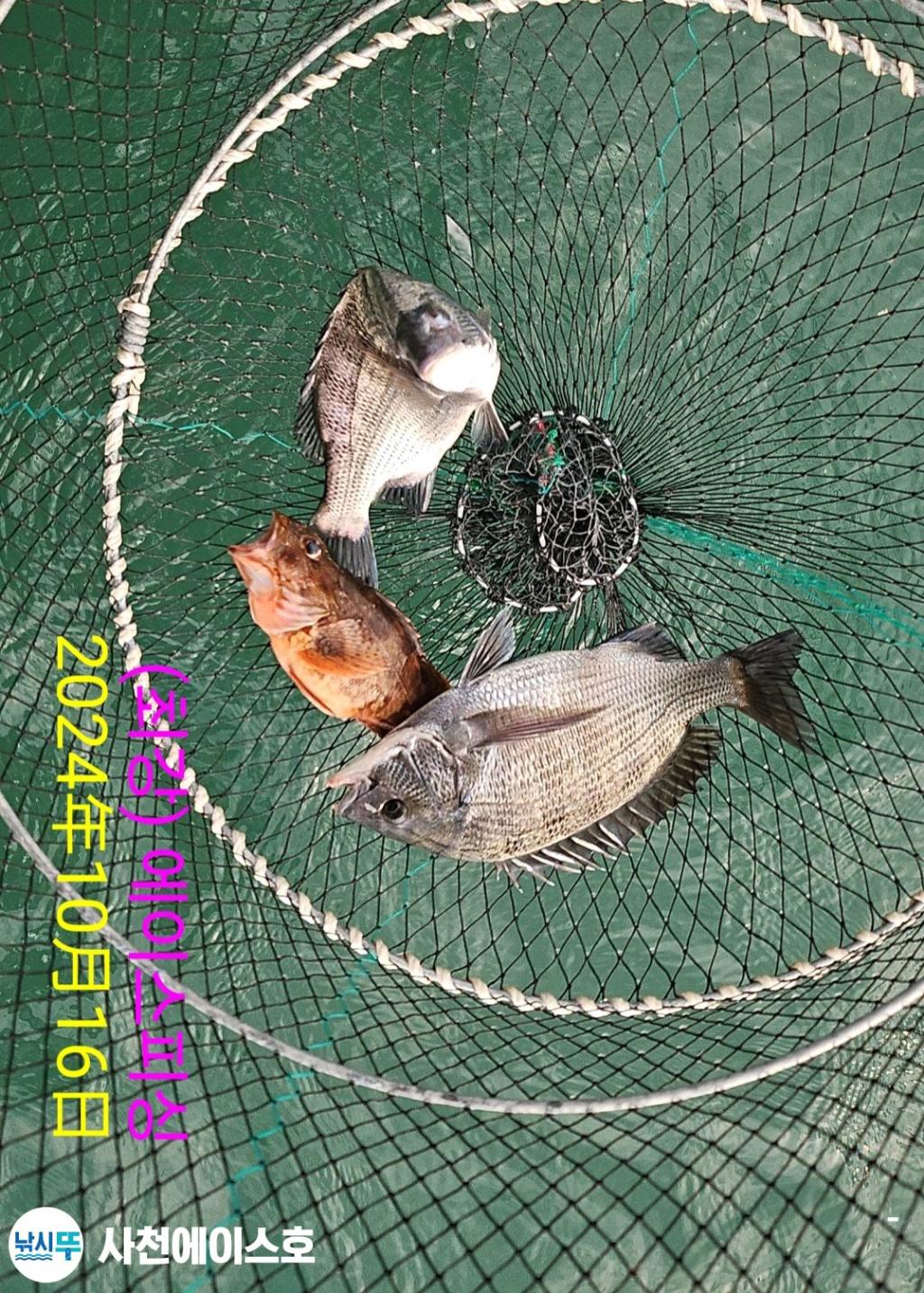 F2540109BO.jpg
