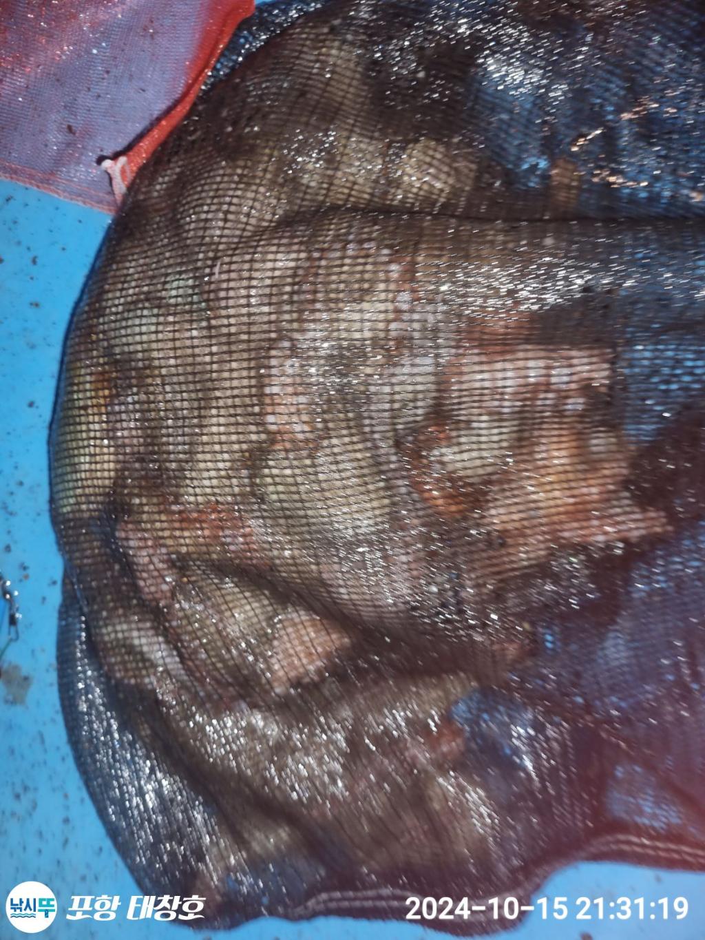 F25401186N.jpg