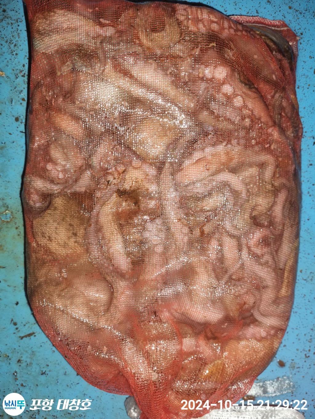 F2540124VI.jpg