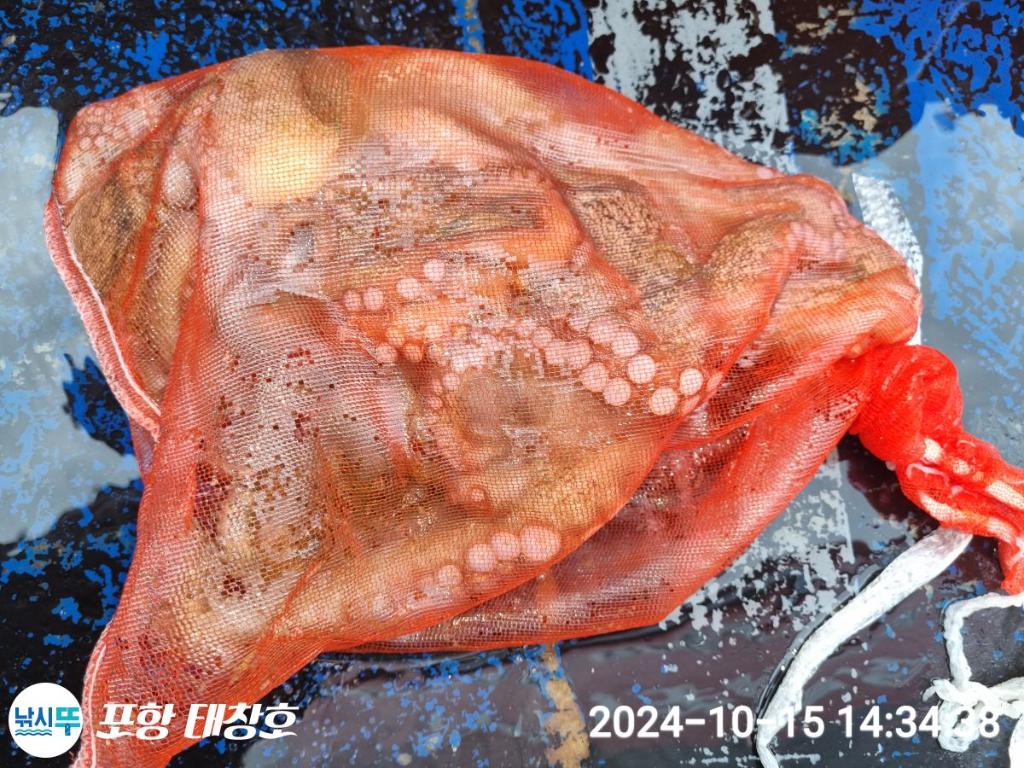 F2540142H4.jpg