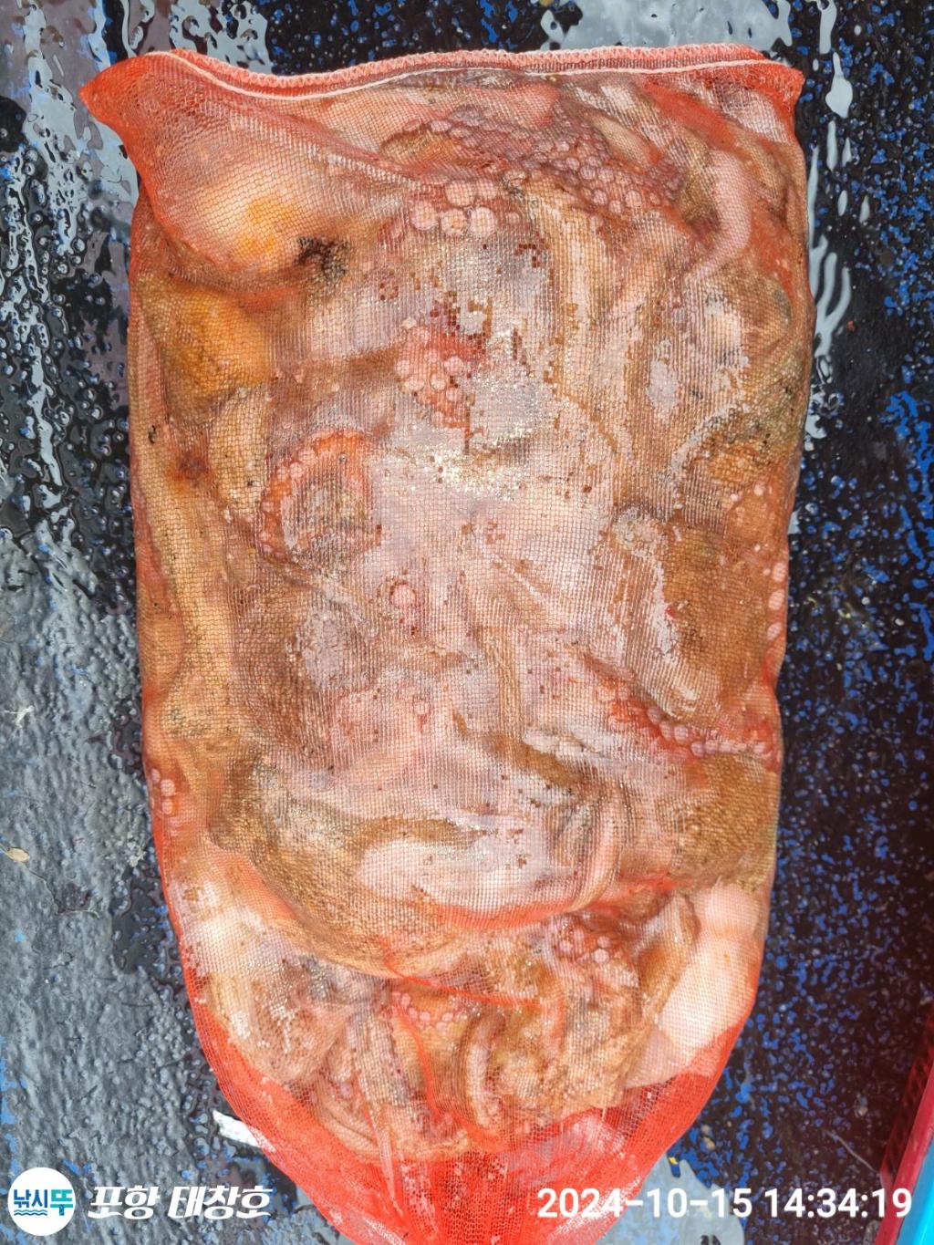 F2540144R8.jpg