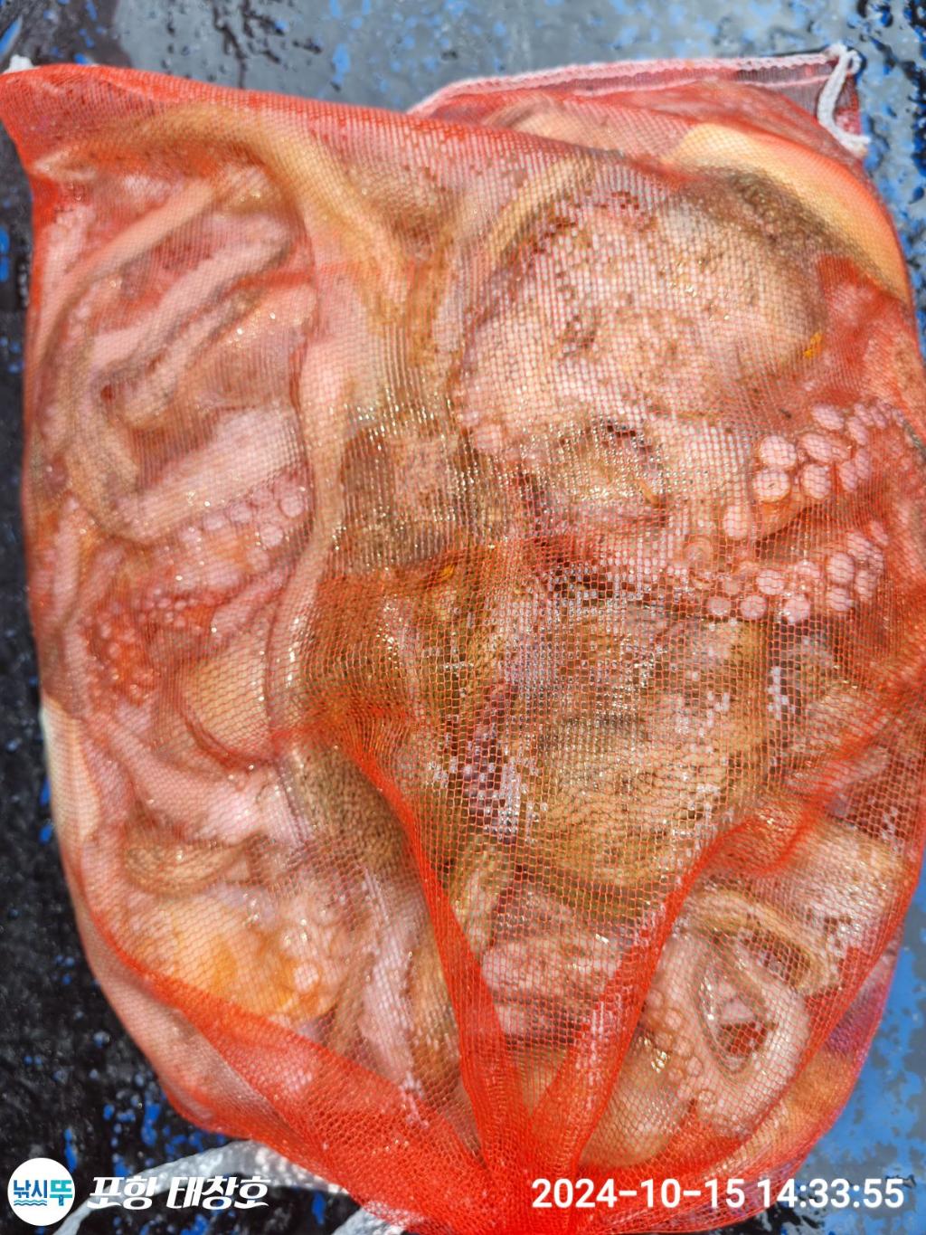 F25401455H.jpg