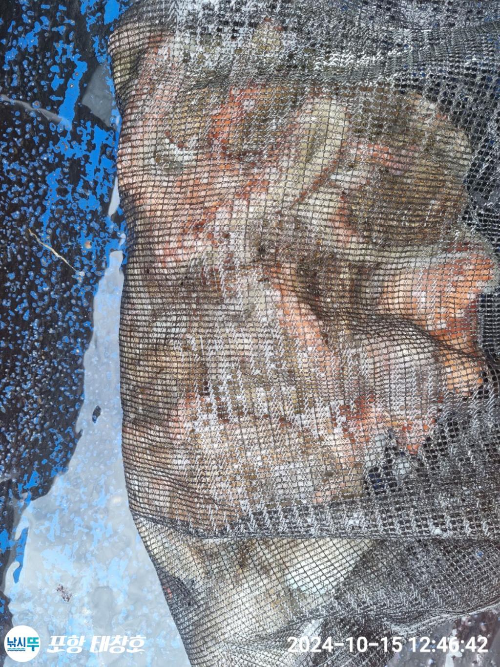 F254014693.jpg