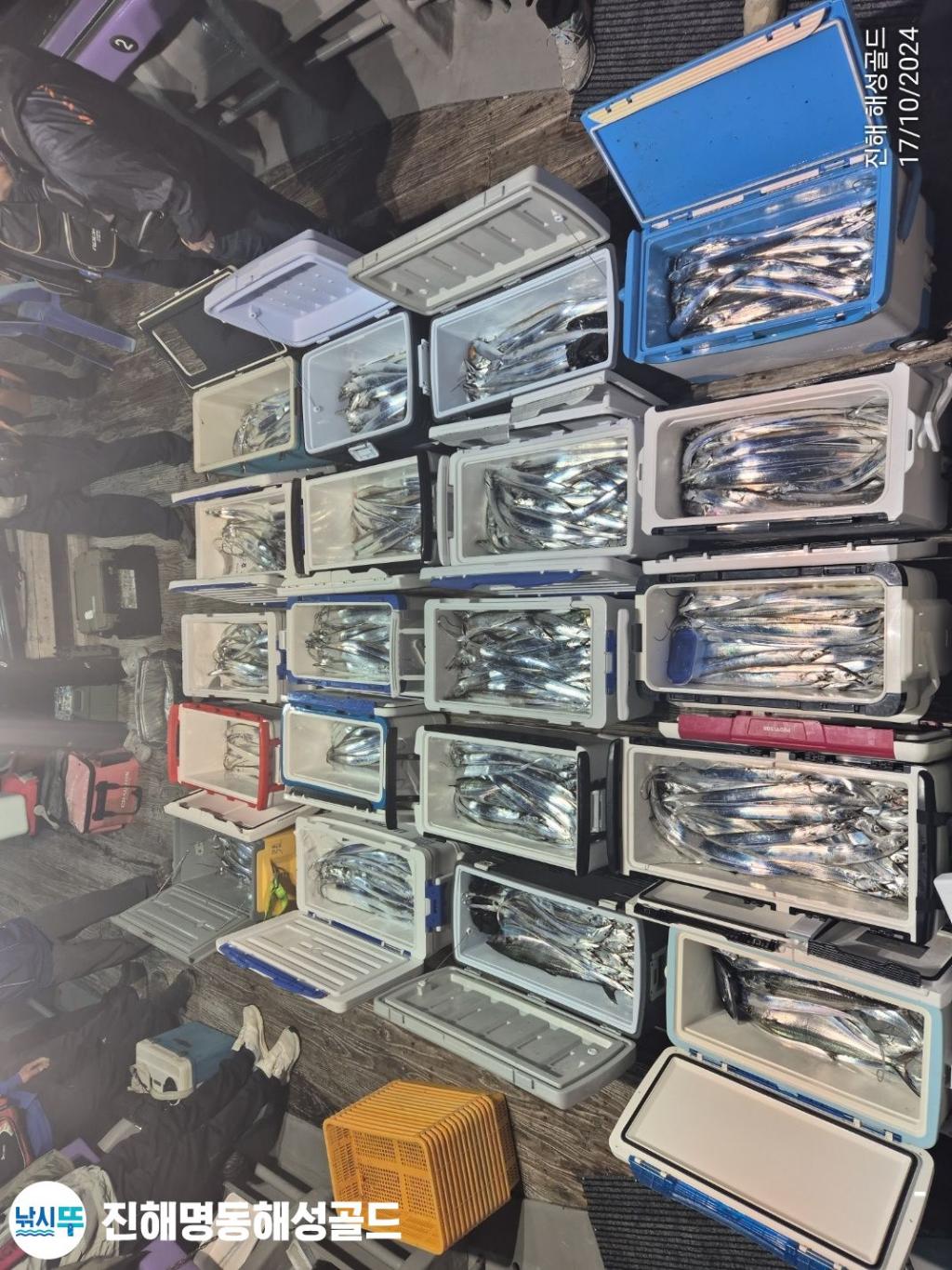 F254090926.jpg