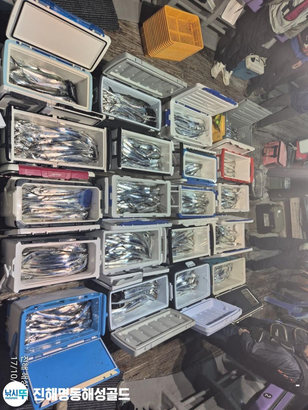 F254091001.jpg
