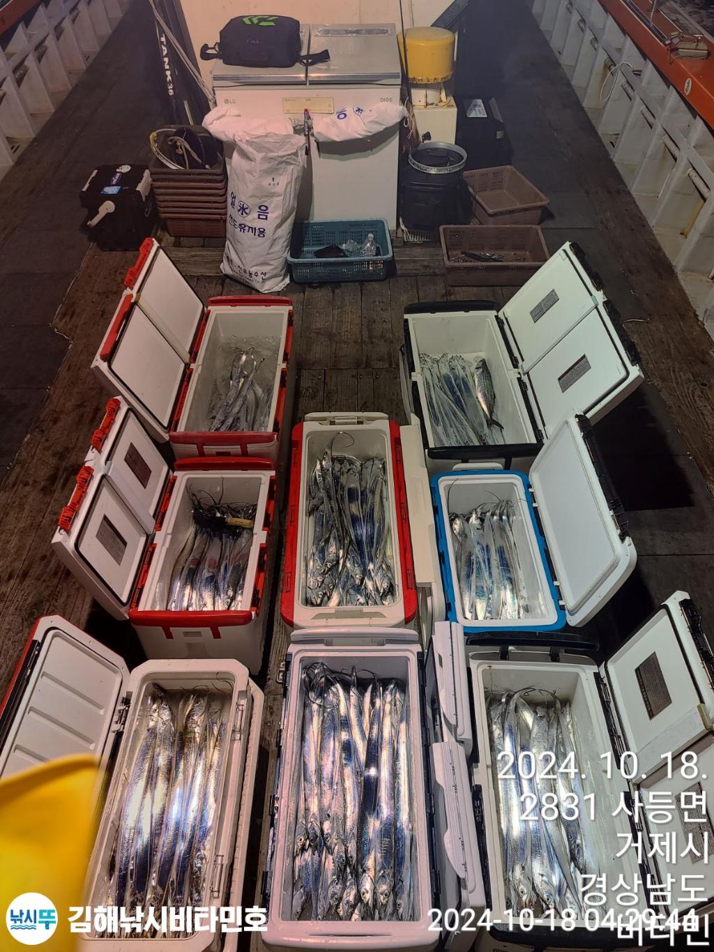 F2541552J7.jpg