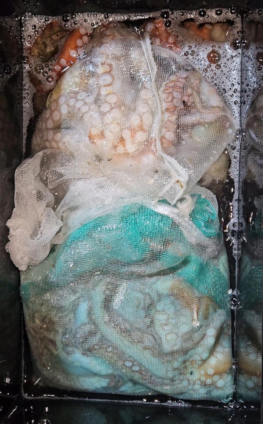 F2542808RM.jpg