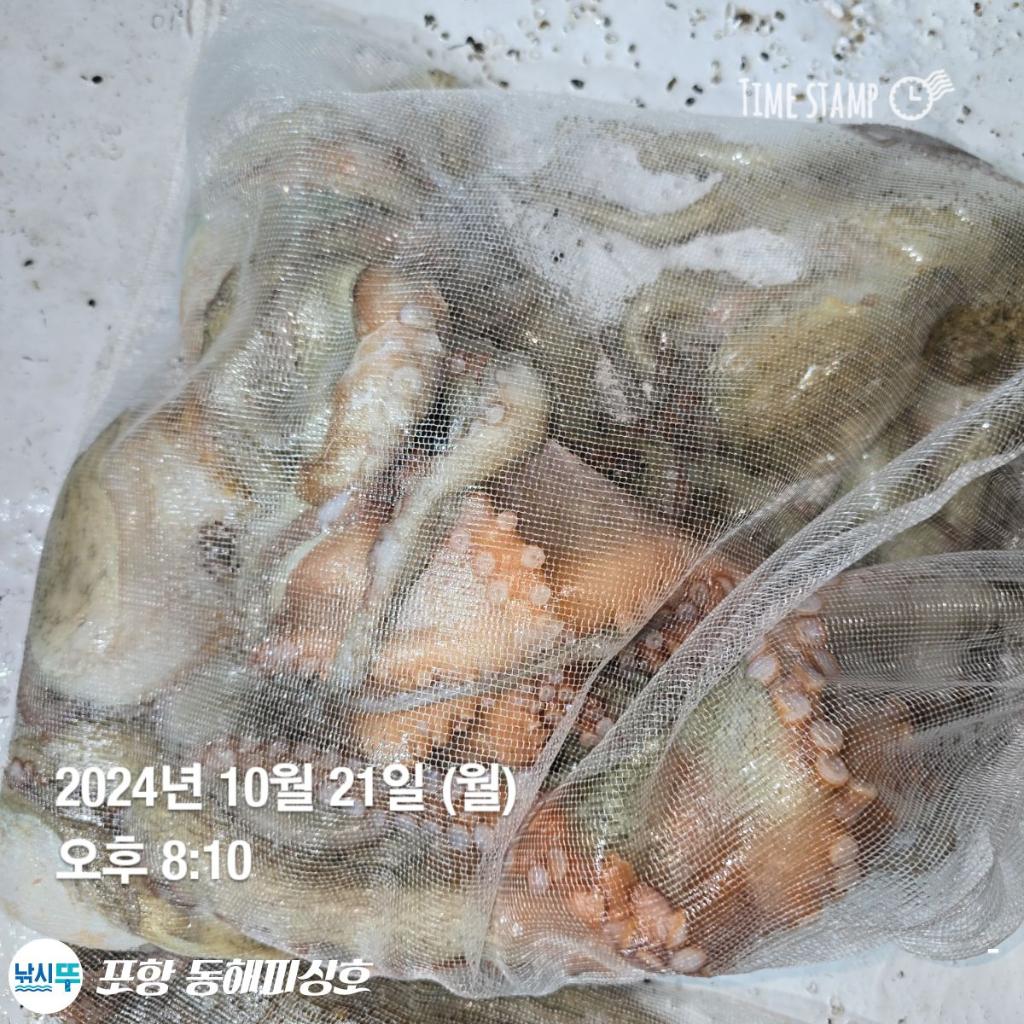 F2544730QR.jpg