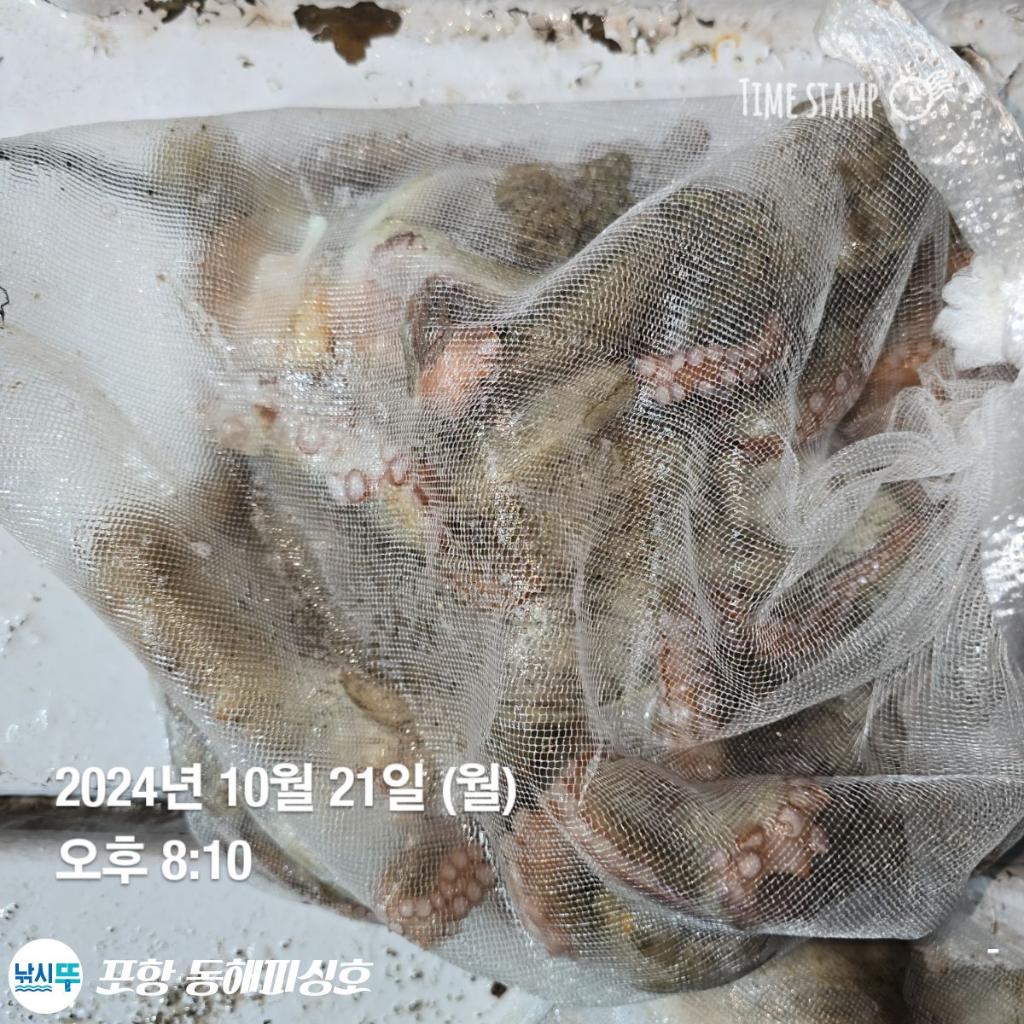 F2544735AW.jpg