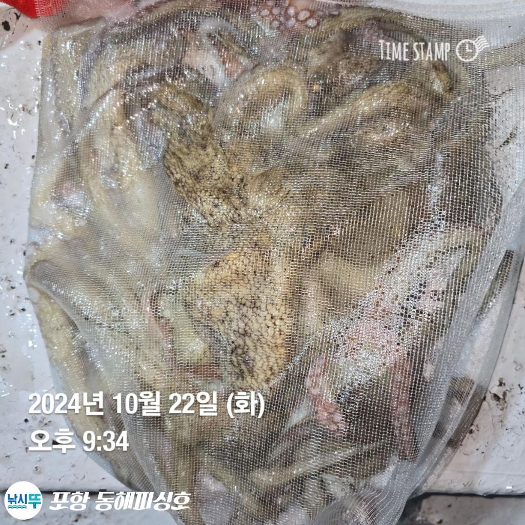 F2544754CH.jpg