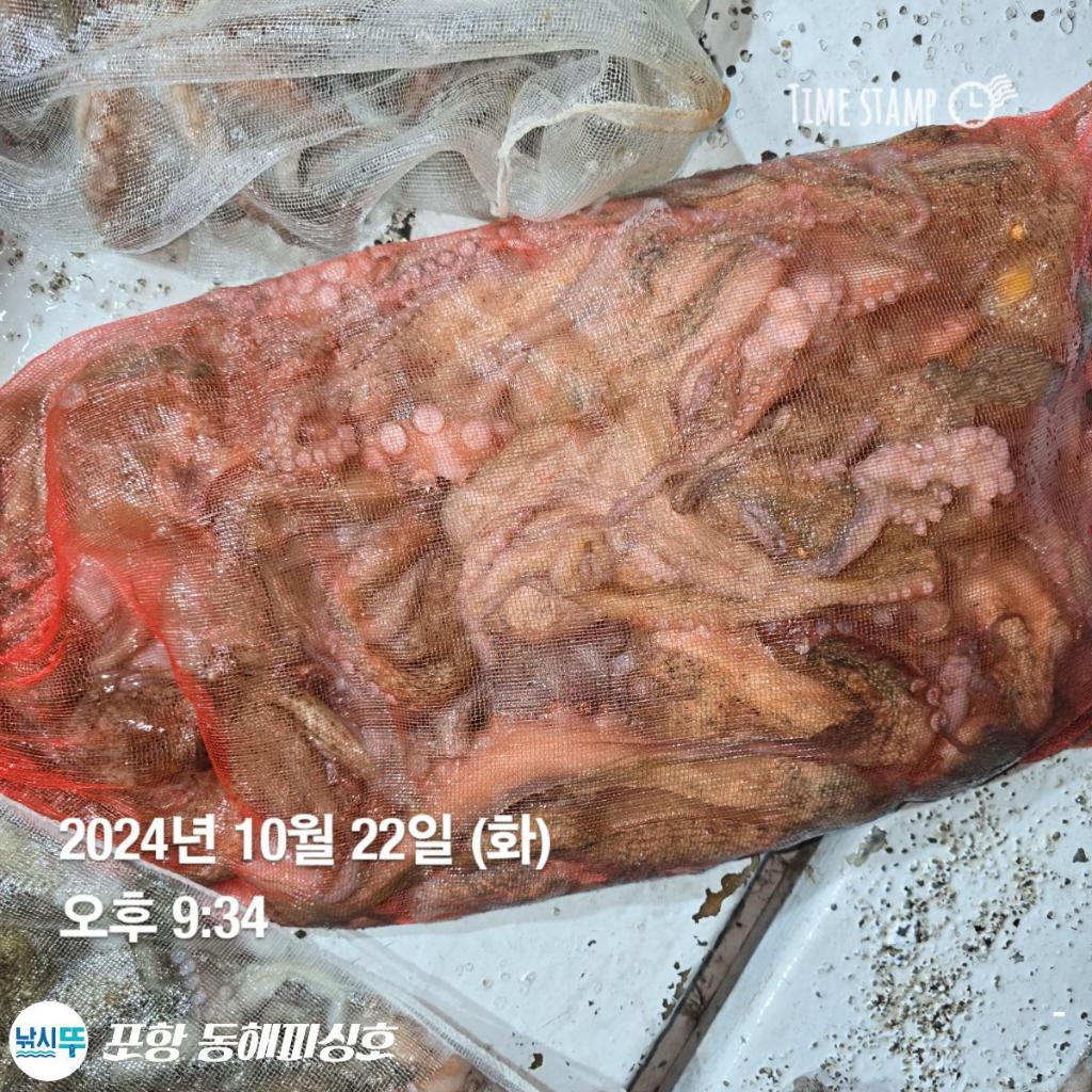 F2544755U6.jpg