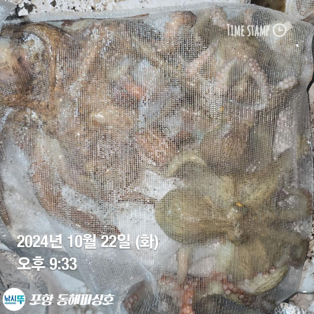 F2544759GC.jpg