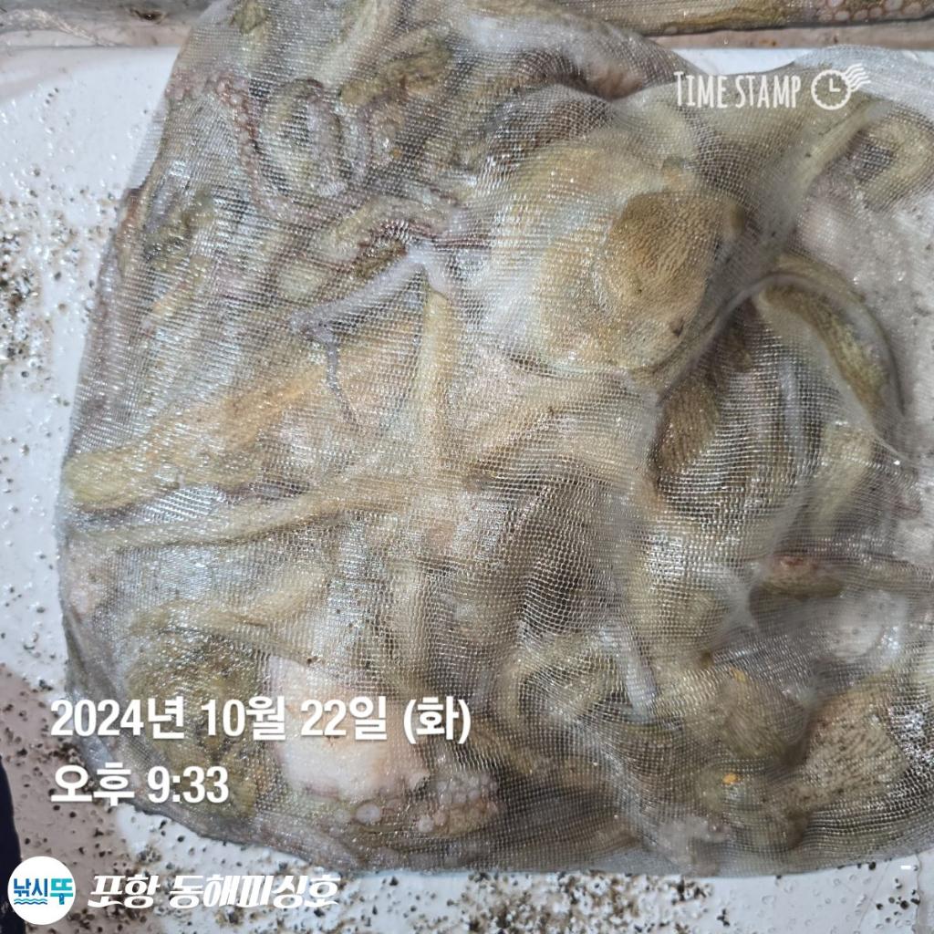 F2544760PS.jpg