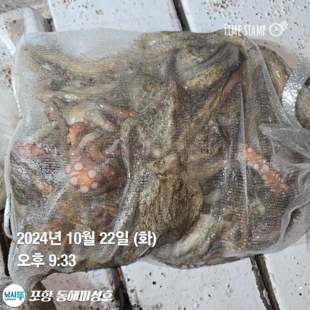 F2544762T8.jpg