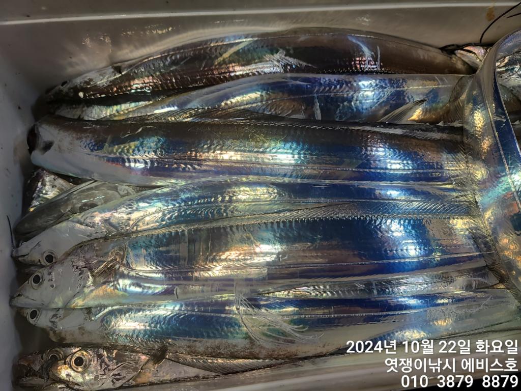F254401435.jpg