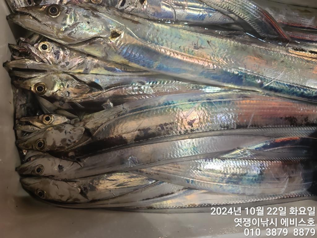 F2544020XU.jpg