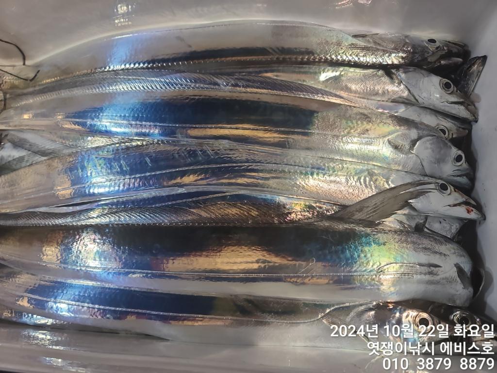 F2544024B7.jpg