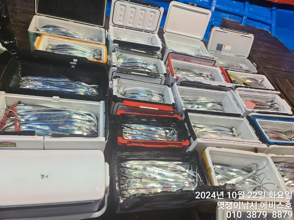 F2544032WQ.jpg