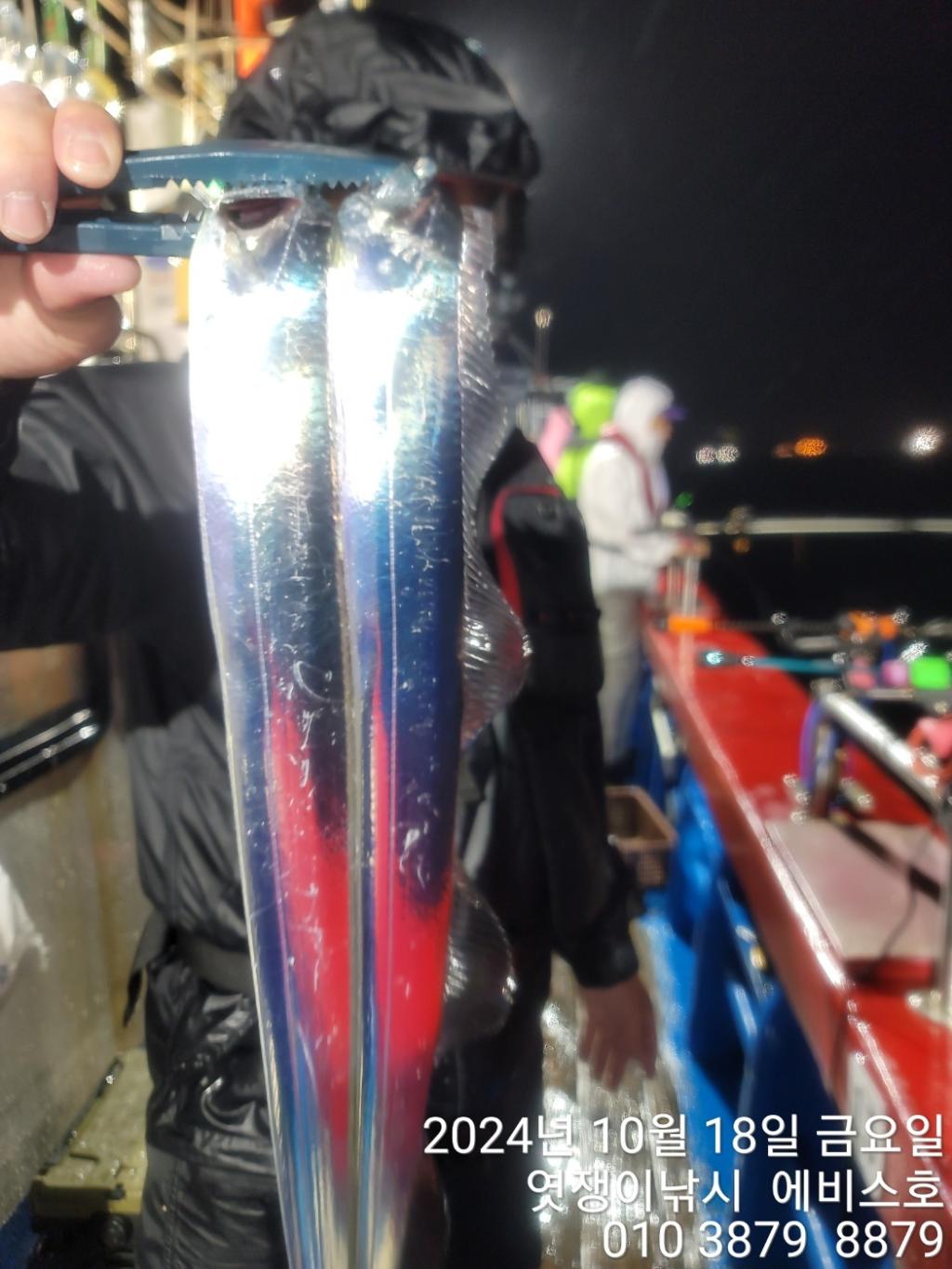 F2544049R1.jpg