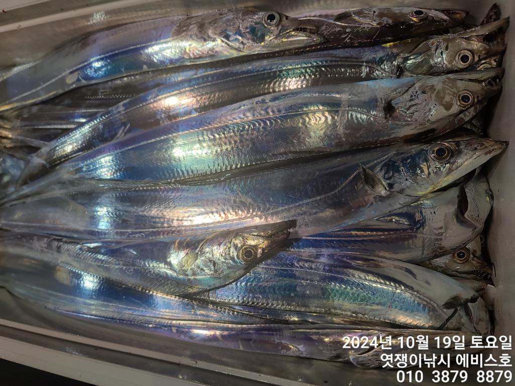 F25440647Z.jpg