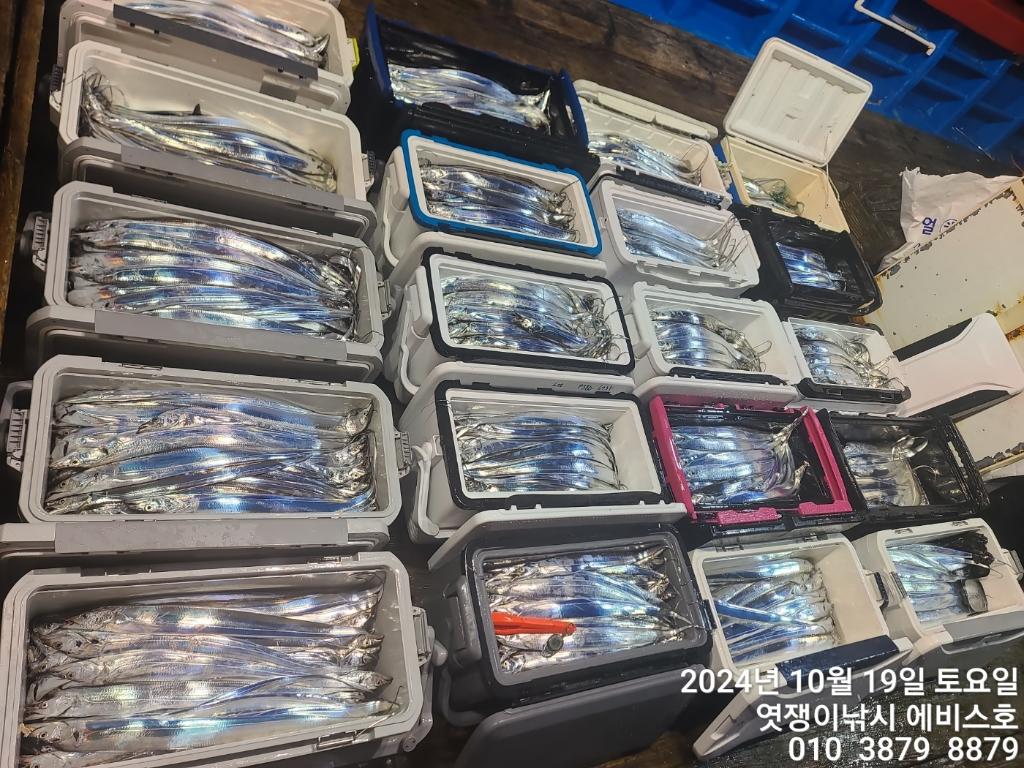 F2544073K7.jpg