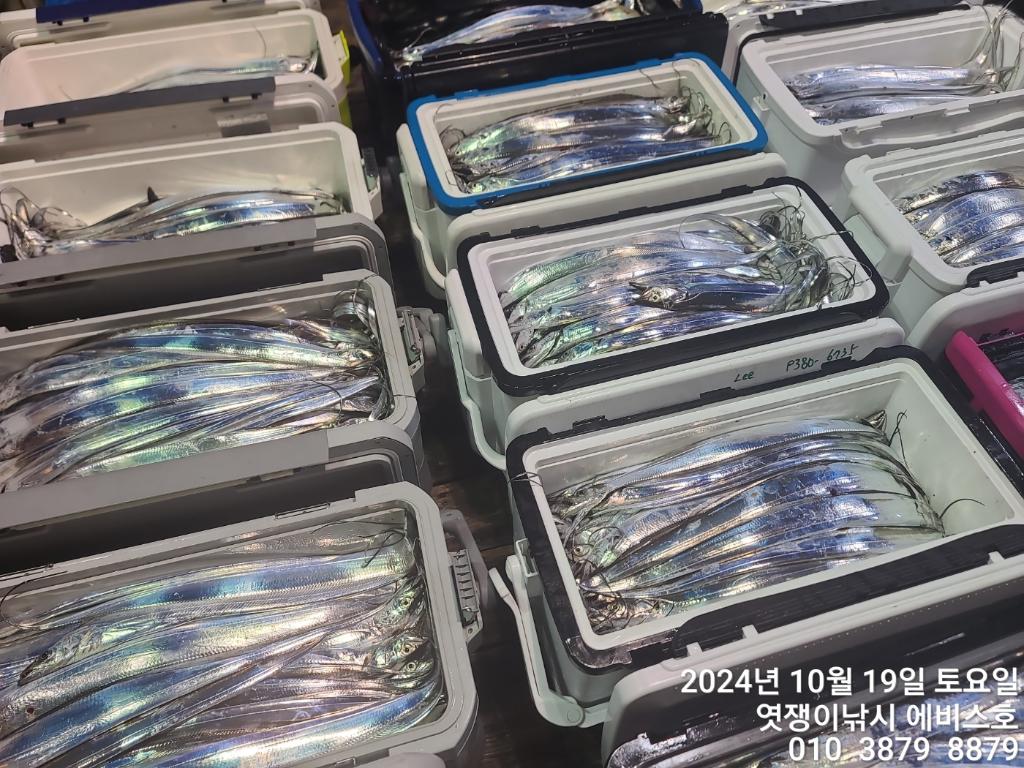 F2544079GV.jpg