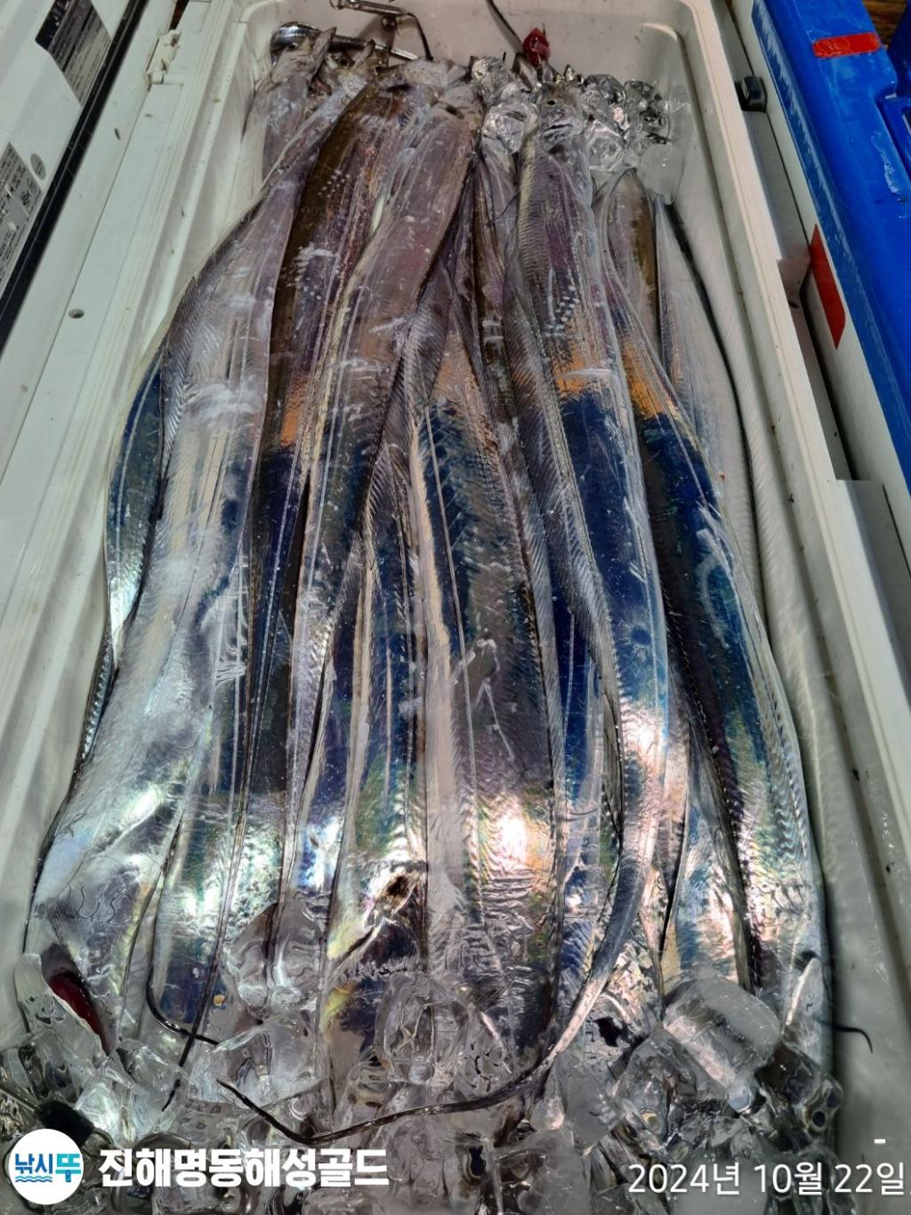 F25453121V.jpg