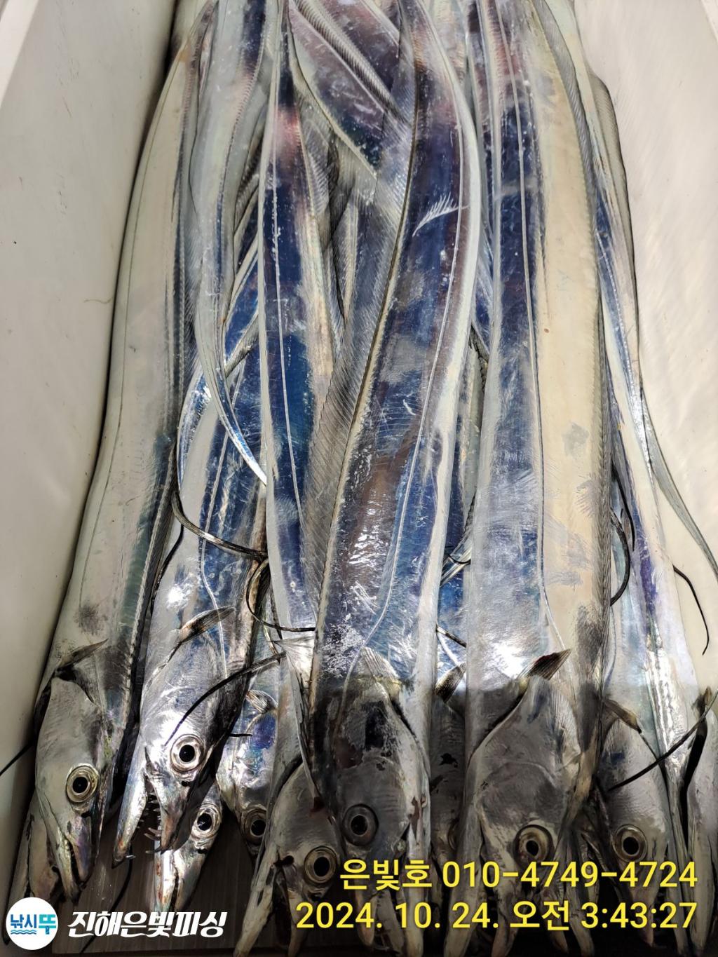 F2545462Y3.jpg