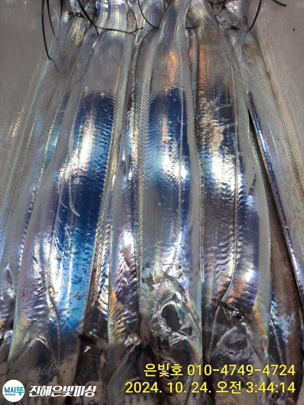 F2545465CU.jpg