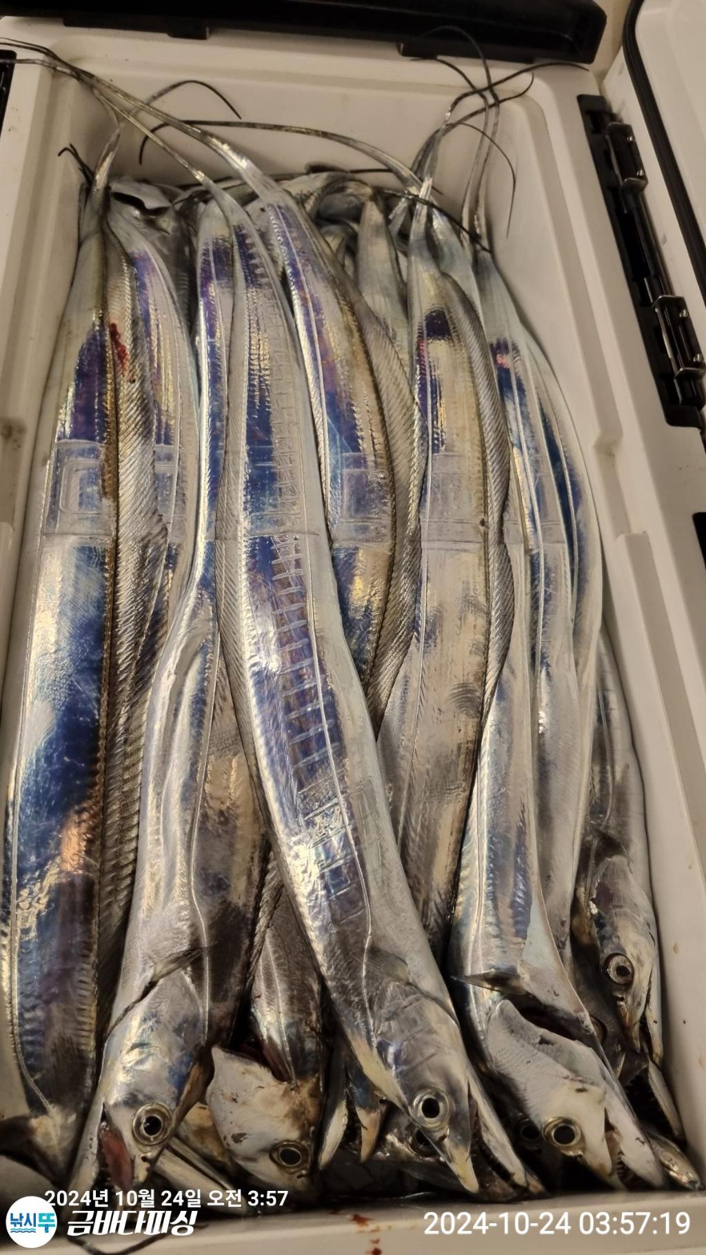 F2545500AU.jpg