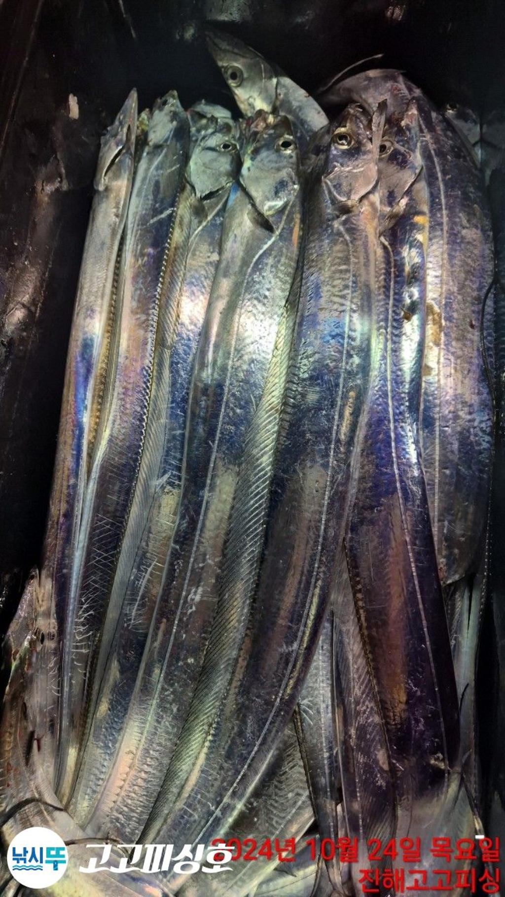 F2545706JD.jpg