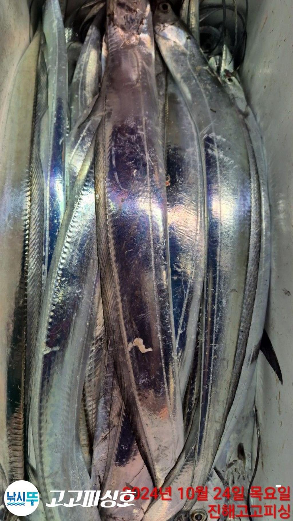 F2545707SP.jpg