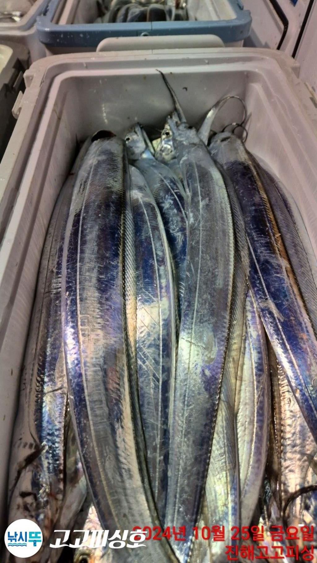 F2547050YK.jpg