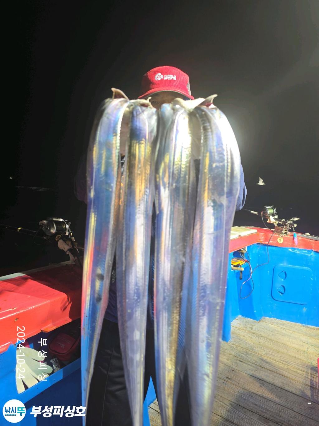 F2546801M2.jpg