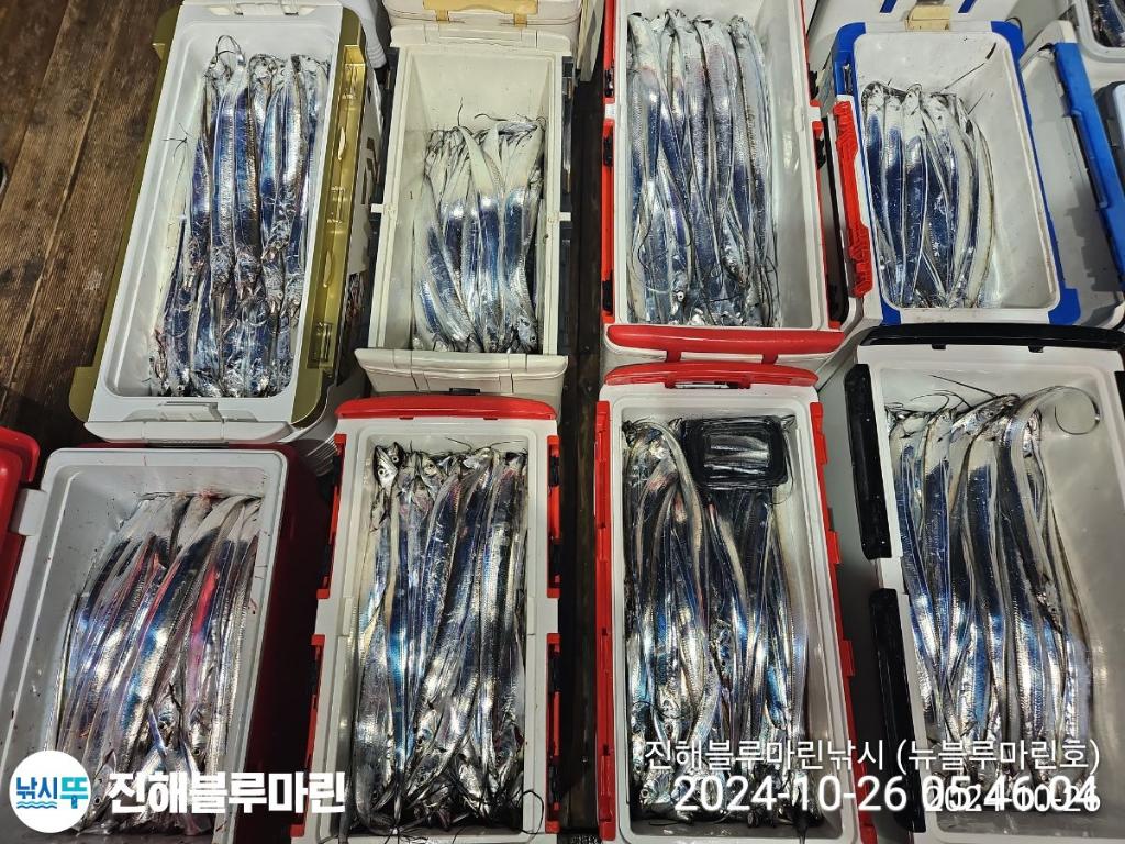 F25483964R.jpg