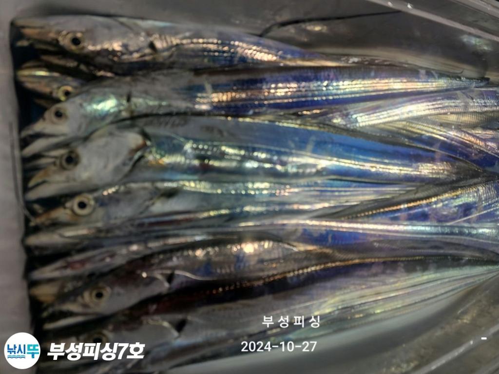 F25487131A.jpg